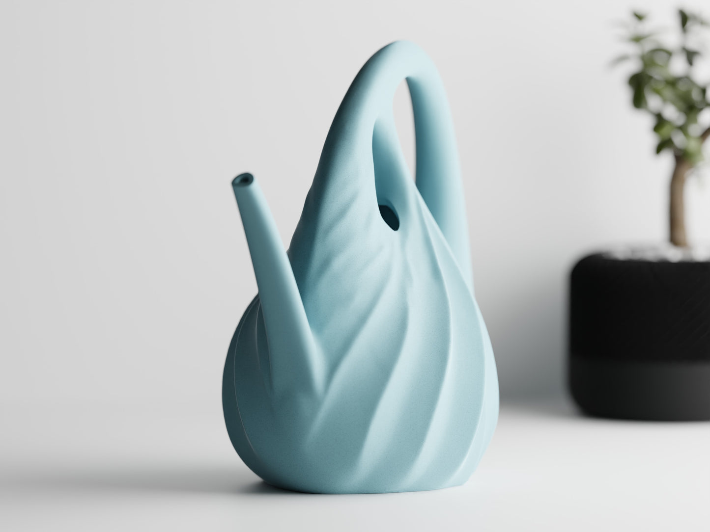 Annaffiatoio — Watering Spout