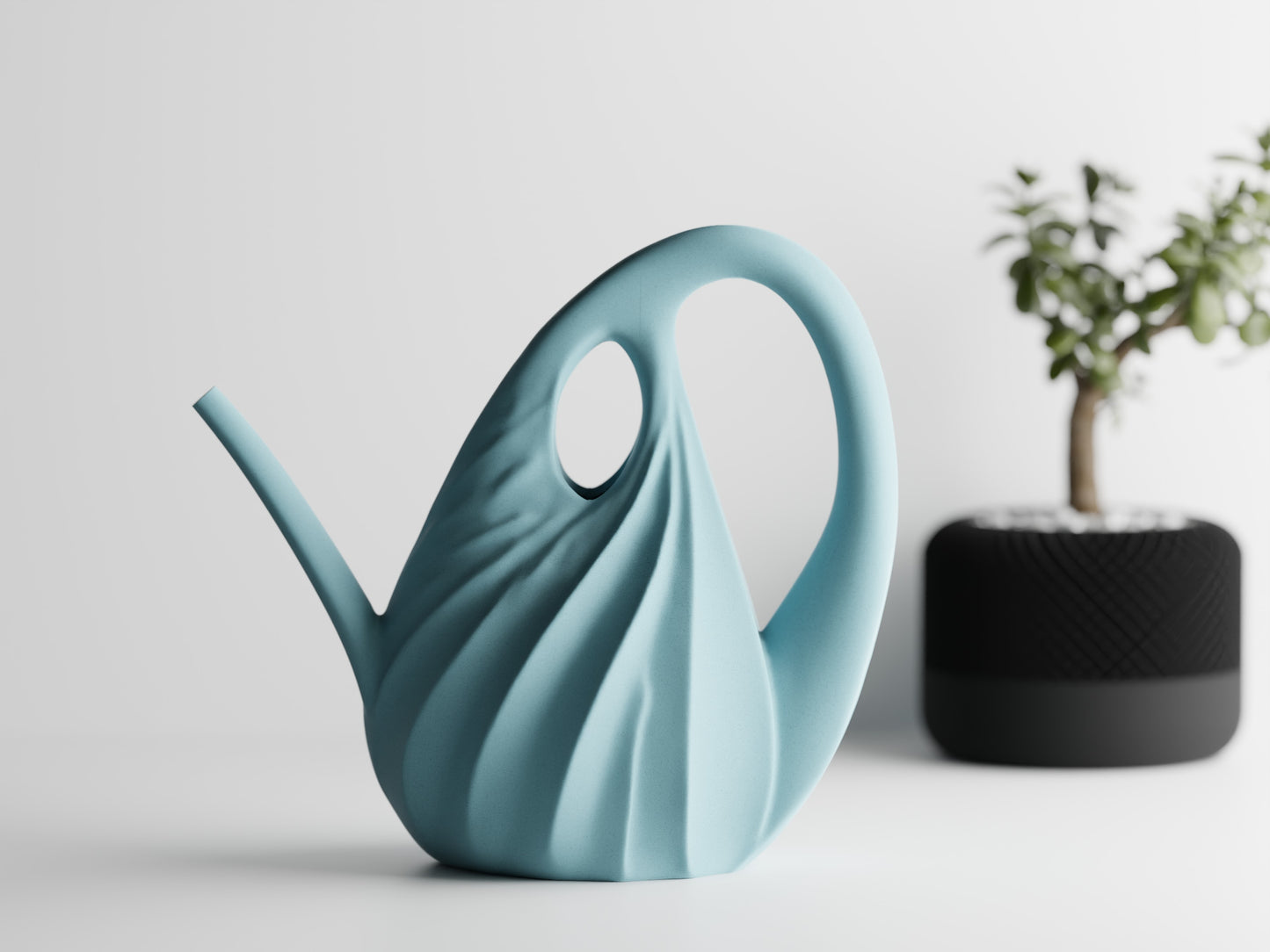 Annaffiatoio — Watering Spout
