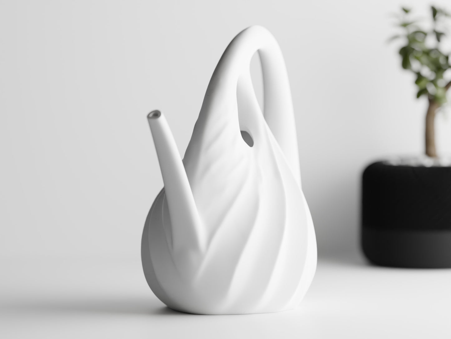 Annaffiatoio — Watering Spout