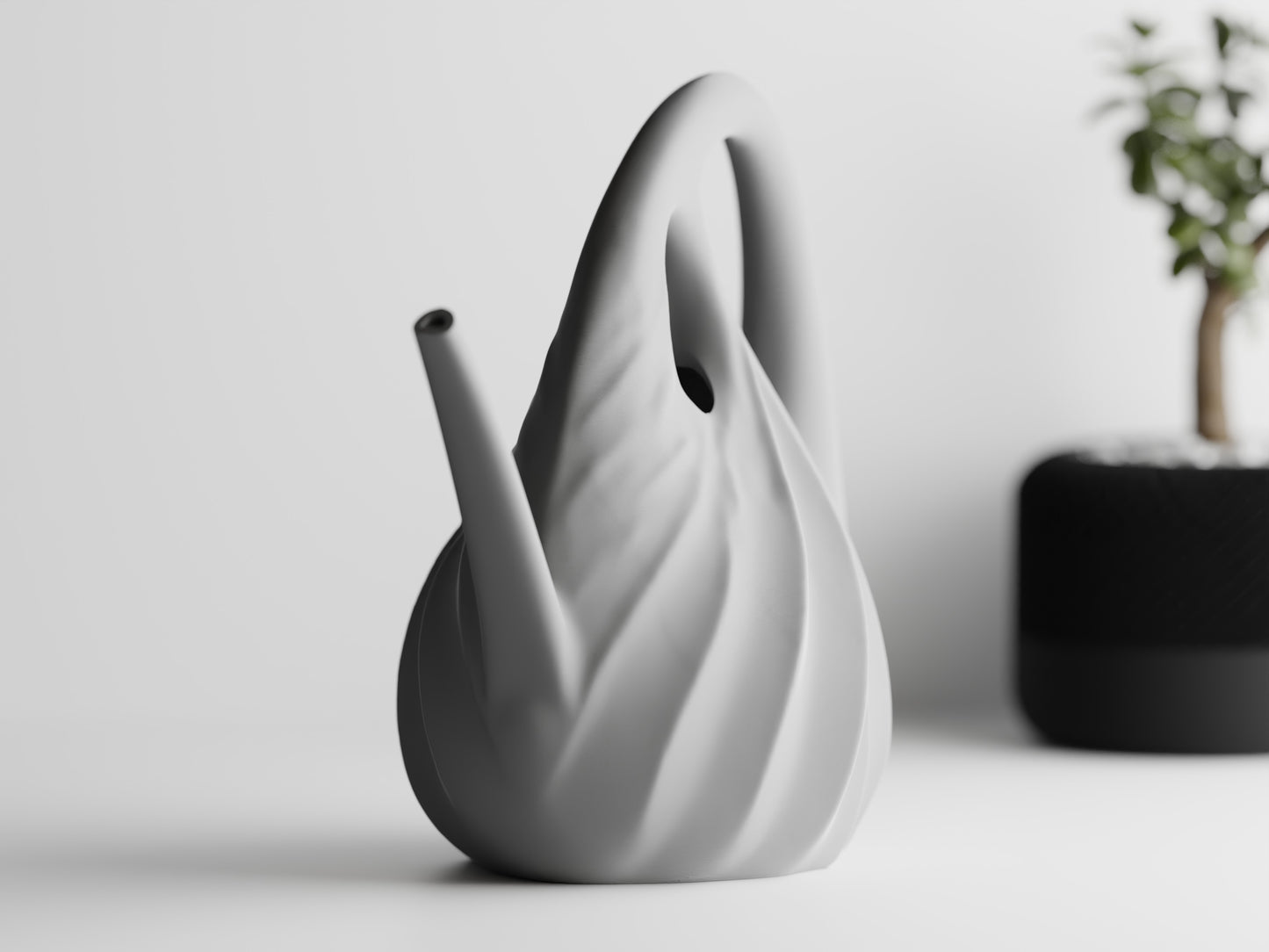 Annaffiatoio — Watering Spout