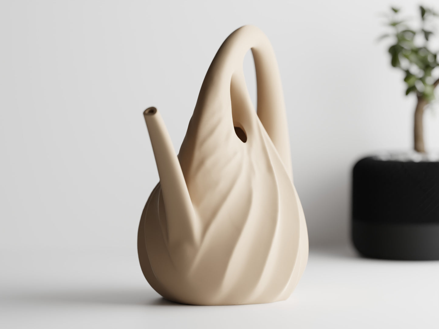 Annaffiatoio — Watering Spout