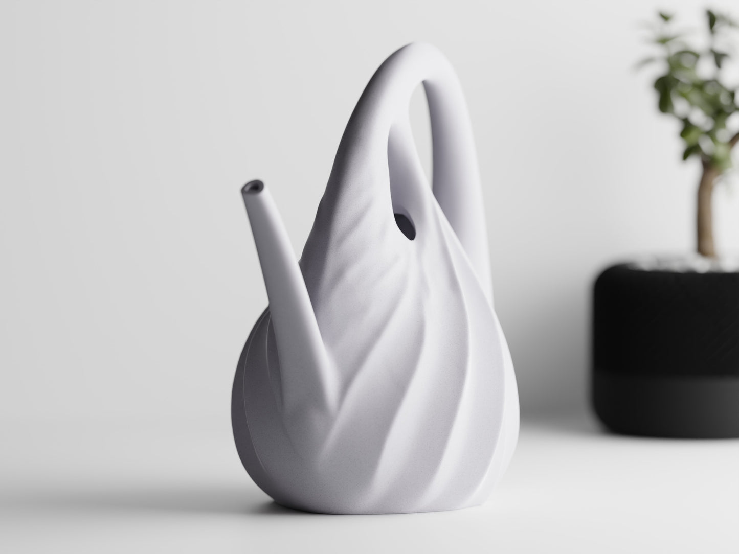Annaffiatoio — Watering Spout