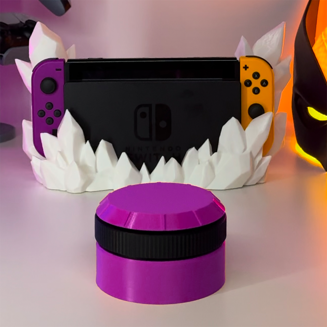 Nintendo game storage