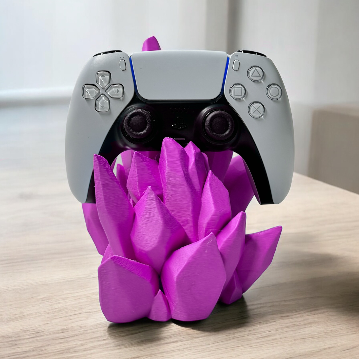 Crystal Controller Holder